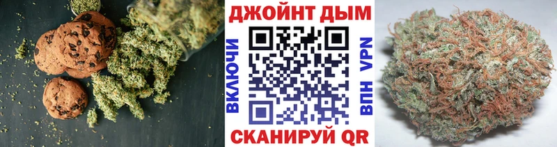 купить наркотики сайты  Кириши  Cannafood конопля 