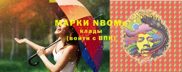 шишки Балахна