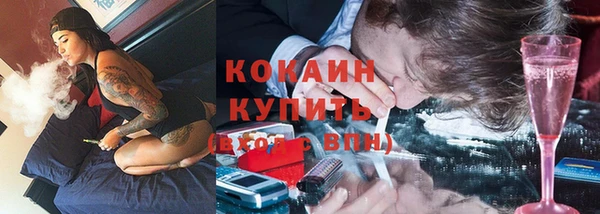 шишки Балахна