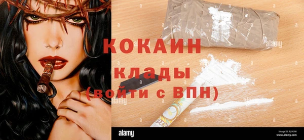 прущие грибы Аркадак