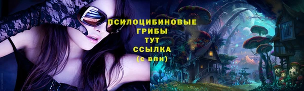 прущие грибы Аркадак